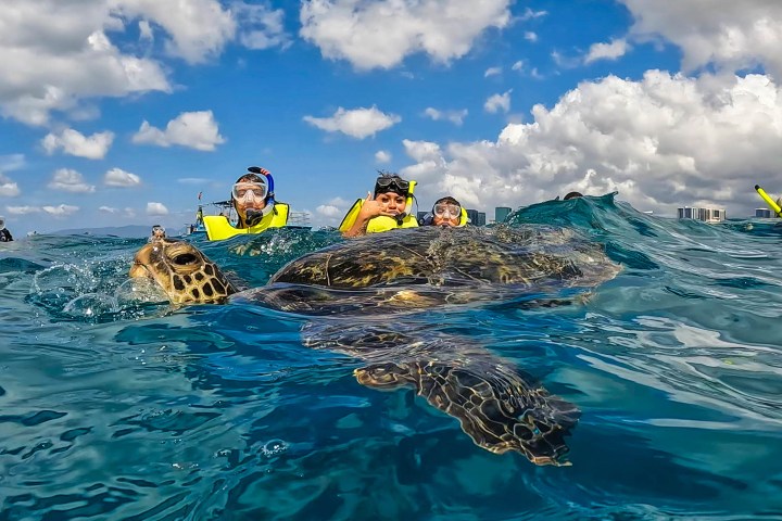 a group of people swimming in a body of water