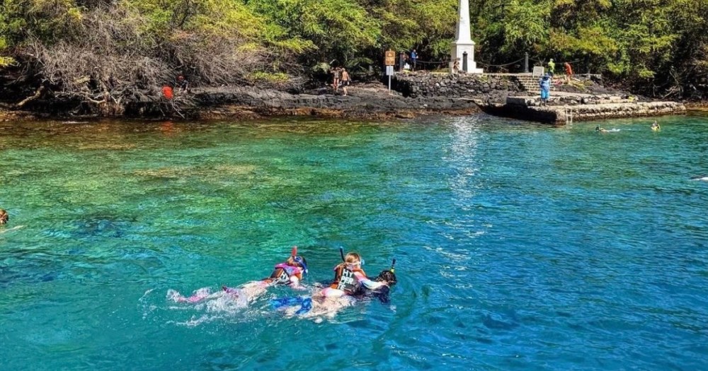 a group of people swimming in a body of water