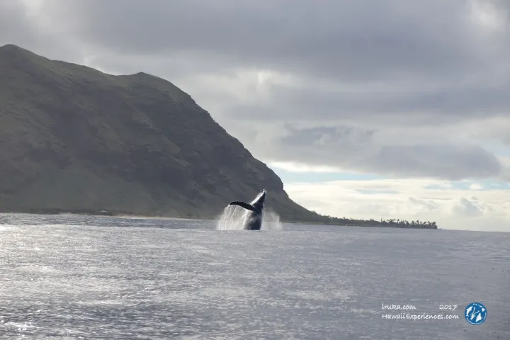a body of water with a mountain in the background