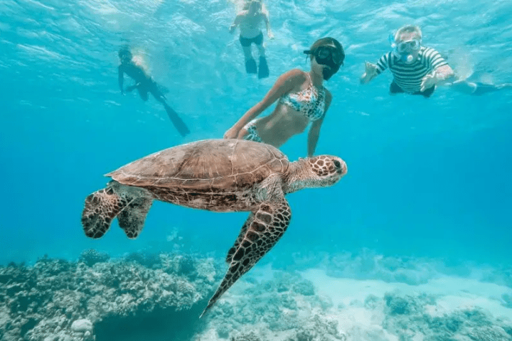 a man swimming in the water