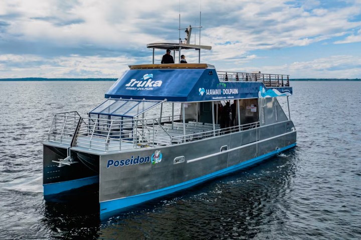 Poseidon our purpose built dolphin swim catamaran boat