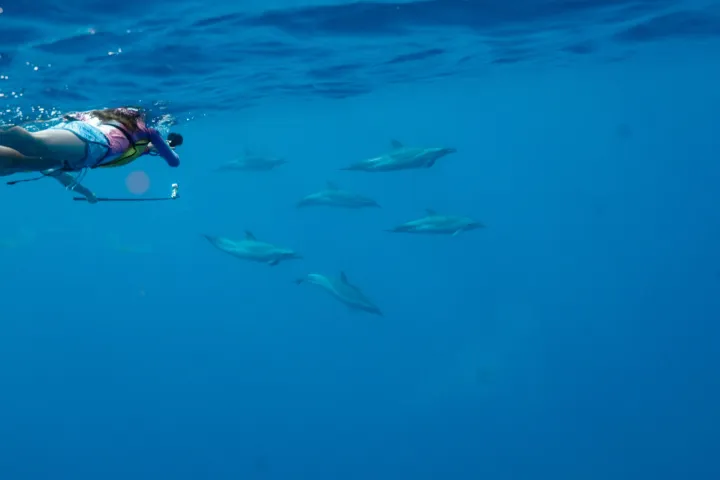 a person swimming in a body of water