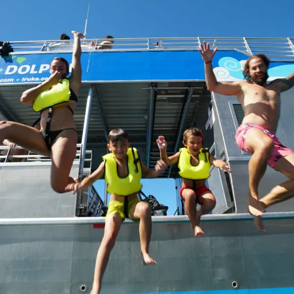 jump on in for our dolphin swim