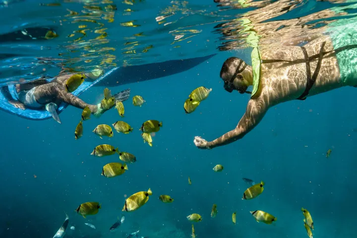 a flock of seagulls are swimming in the water