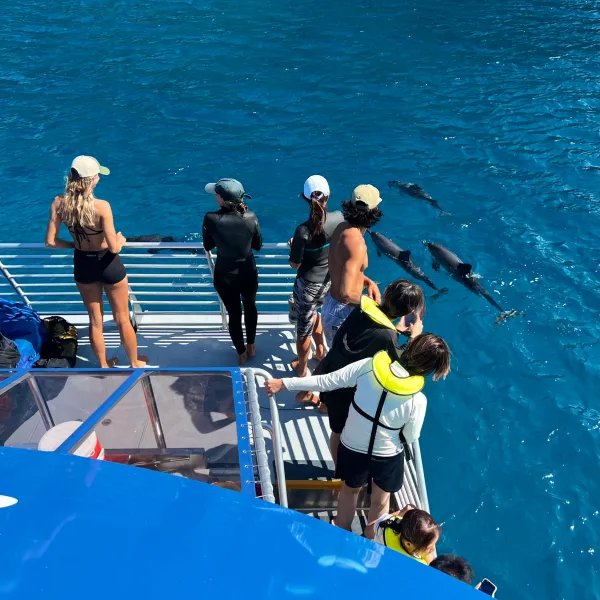 a group of people on a boat in the water watching dolphins