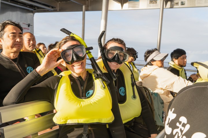 snorkelers posing for camera