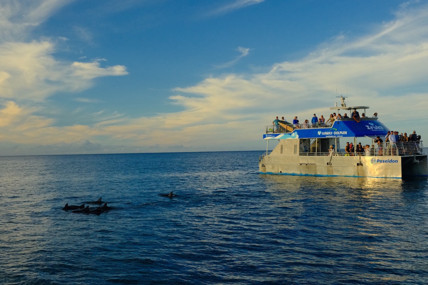 Boat with people watching dolphins swimming in calm ocean under a partly cloudy sky.