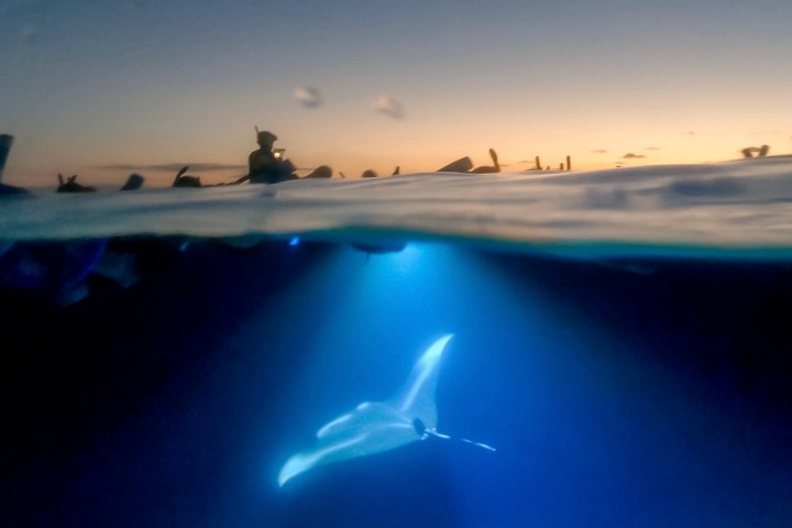 a plane in the water