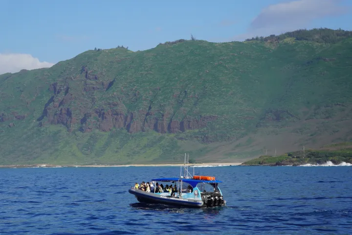 Boat with people on ocean near lush green cliffs under blue sky.