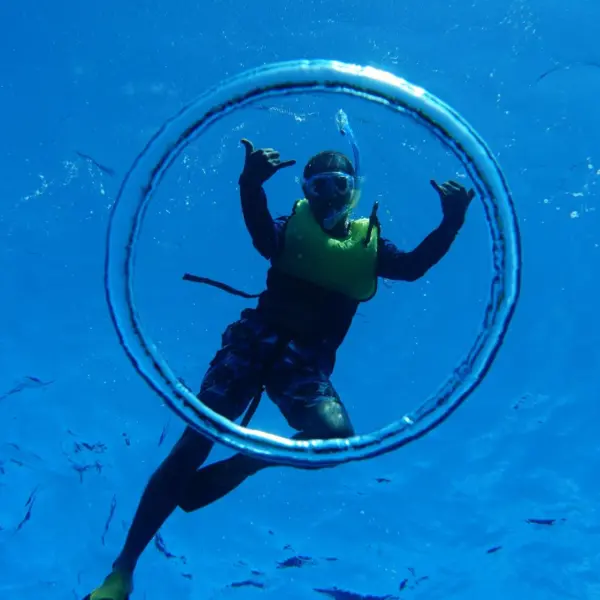 a person swimming in the water