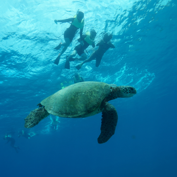 a man swimming in the water