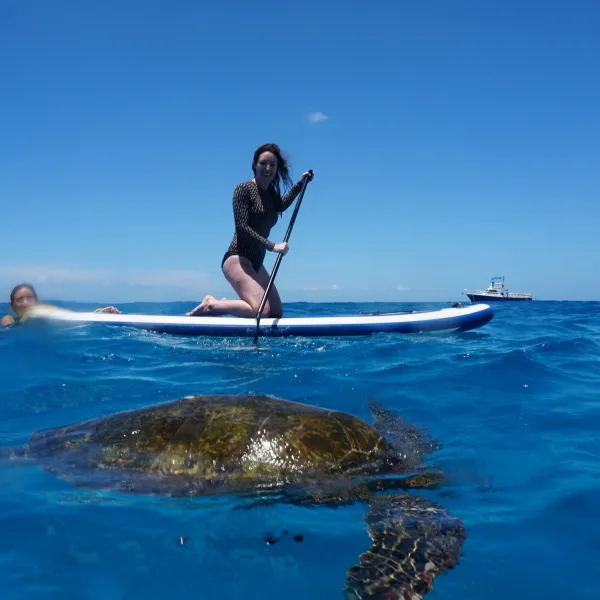 a person riding a surf board on a body of water