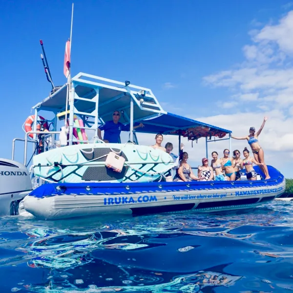 a blue and white boat sitting next to a body of water