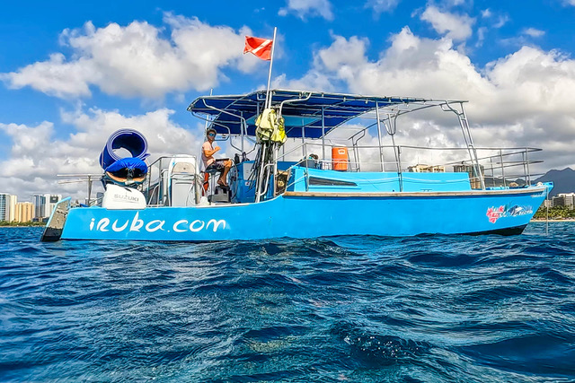 IslandPrincess (Waikiki) a blue and white boat sitting next to a body of water