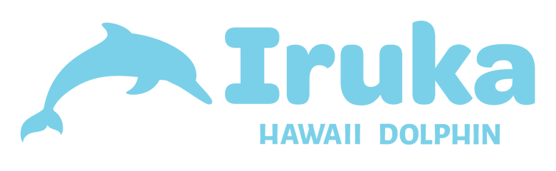 Iruka Hawaii Dolphin