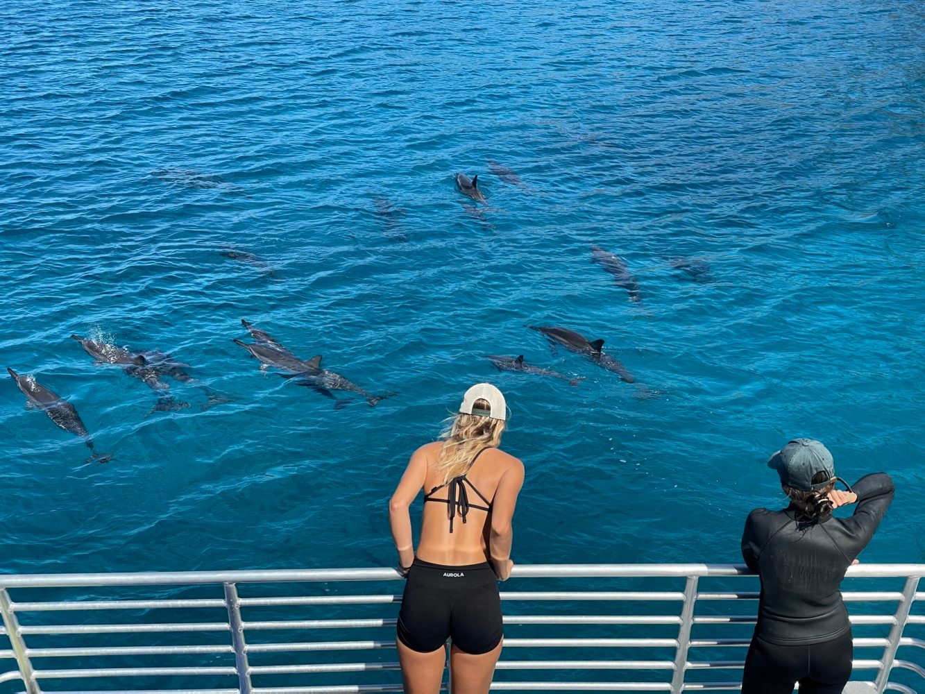 a group of people dolphin watching from boat