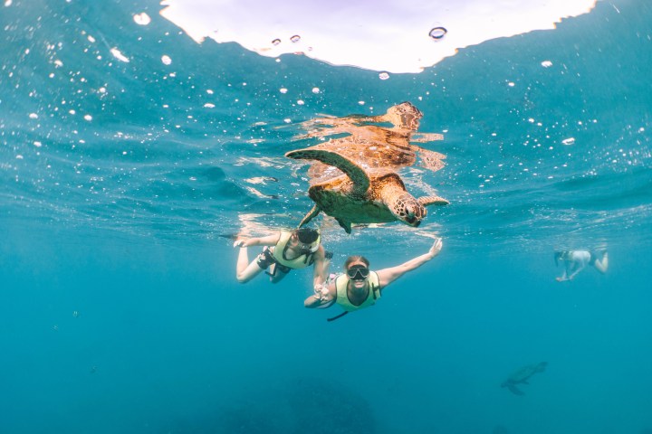 a person flying through the air while swimming in a body of water