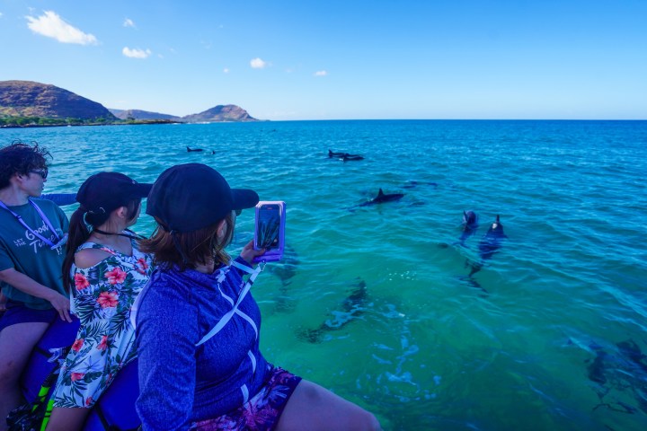 a person standing next to a body of water
