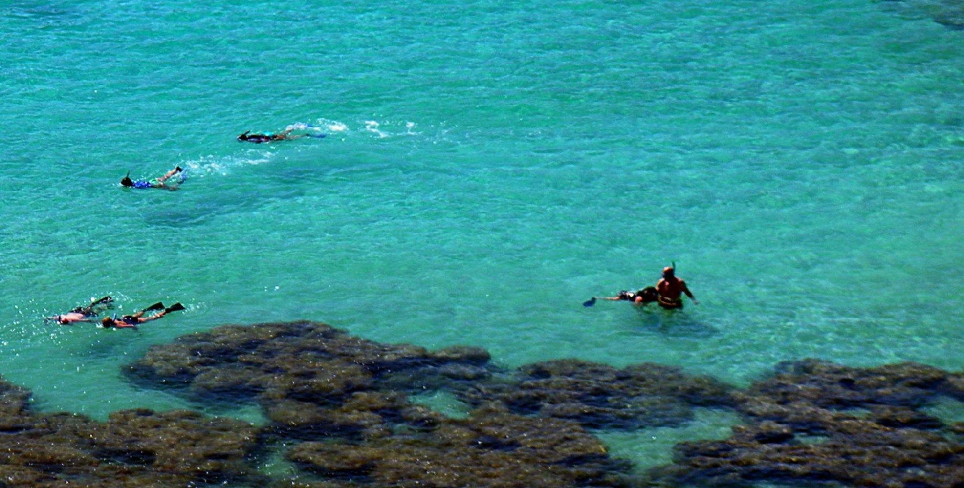 a group of people swimming in a body of water