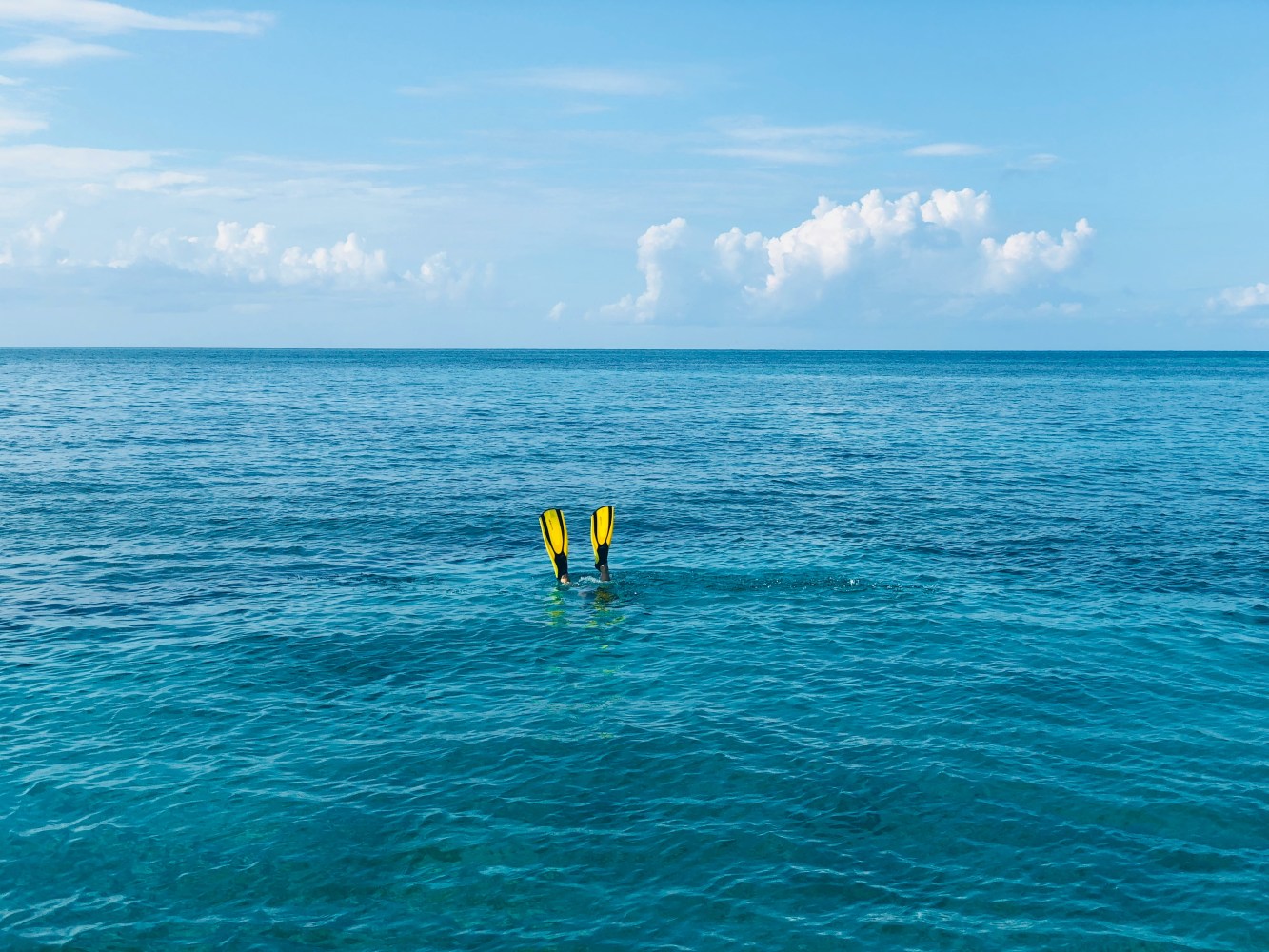 a body of water next to the ocean