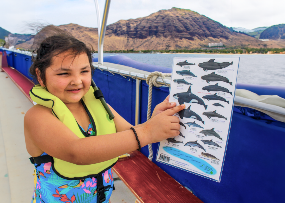 a little girl views dolphin and whale types worksheet on a boat in Hawaii
