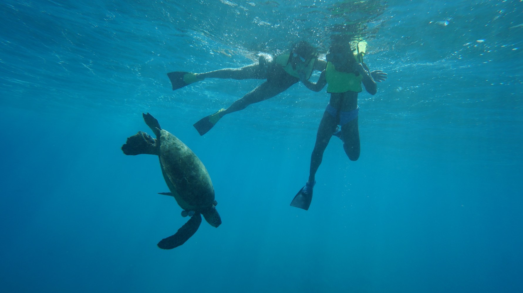 First-Time Snorkeler with Sea Turtle in Oahu