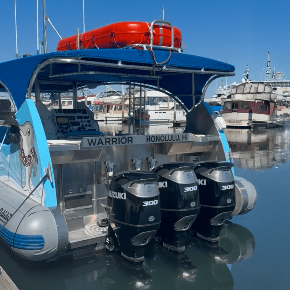 Blue and grey boat in a marina with three Suzuki outboard motors.