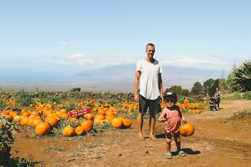 Adult and child in pumpkin field with ocean and mountains in the background on Maui