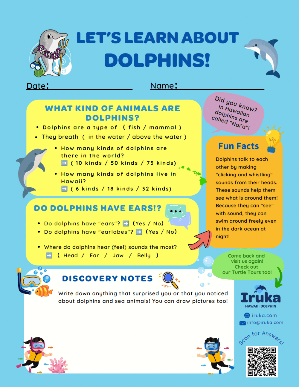 Colorful educational poster about dolphins with facts and activities for kids.