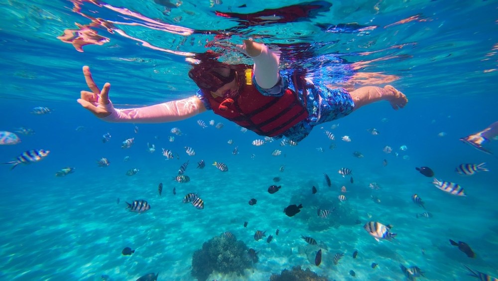 Person snorkeling in clear blue water with colorful fish swimming nearby.