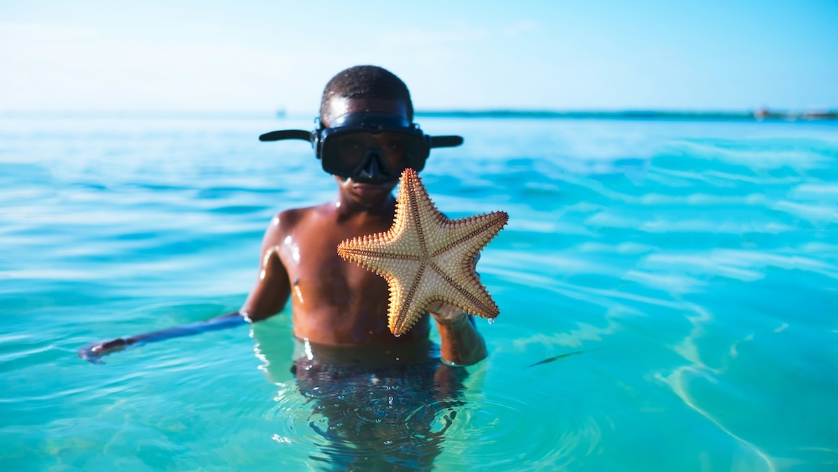 Child in the ocean wearing goggles, holding a starfish, under a clear blue sky.