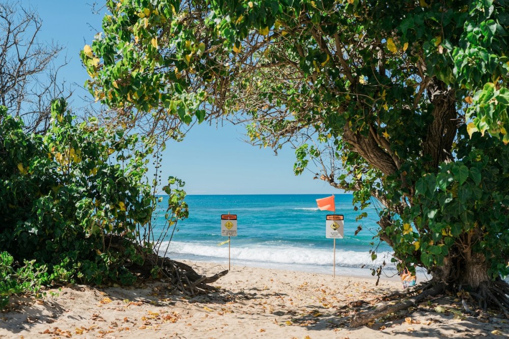 Sandy beach path framed by trees with warning signs, leading to blue ocean.